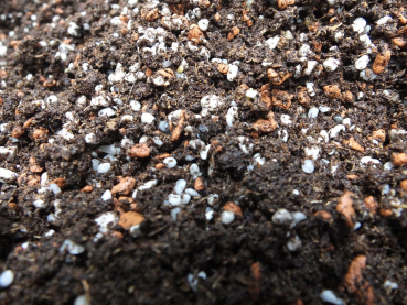 Preview: Karnivorensubstrat